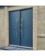 Fargo 26 D double - french complete front door and frame