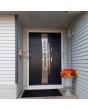 Fargo 37 DB - stainless steel front door with side panel