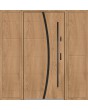 Fargo 40 T - front door with two side panels