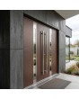 LIM C1 double - modern aluminum double hinged front door with glass