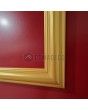 PIVOT CL05S -  classically glazed traditional aluminum pivot door