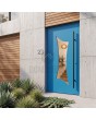 Blue aluminium modern style front door