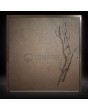 Brown Pivot exterior door coated with liquid metal
