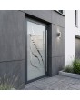 LIM Glass S11 - frosted aluminum entry door with transparent decor
