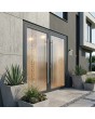 Anthracite frosted aluminium double door with transparent motif