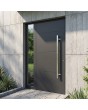 LIM W312 - modern aluminum front door