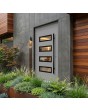 Silver modern aluminium front door