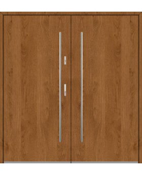 Fargo 1 double - french contemporary front door