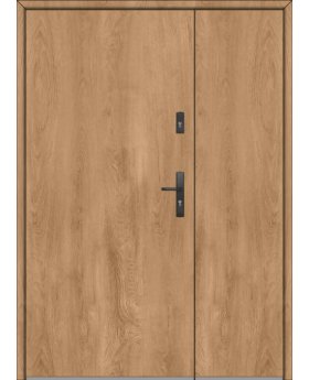 Fargo 1 DB - entrance door with side panel
