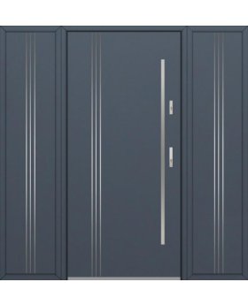 Fargo 32B T - entrance door with two side panels