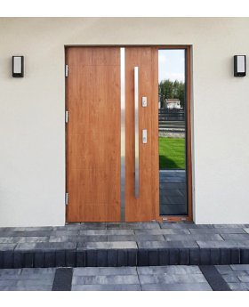 Fargo 41 - modern front doors
