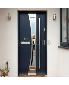 Anthracite stainless steel front door