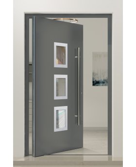 PIVOT Izobar - aluminium single pivot door with five windows