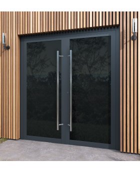 LIM VL19 double - Painted Glass Lacobel double aluminium door