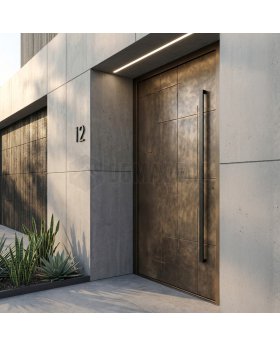 Aluminum hinged door with bronze liquid metal