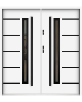 Sta Picard Double Noir - stainless steel exterior double front door with black frame around glass