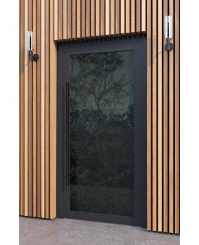 LIM VL19 - Painted Glass Lacobel aluminium door