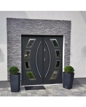 Fargo 21A double - double exterior front door