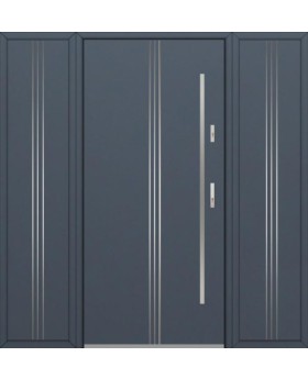 Fargo 32 T - entrance door with two side panels