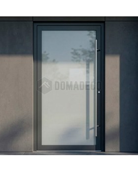 Fully frosted glazed front aluminum door