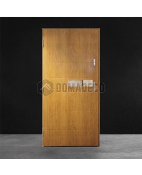 Golden oak modern simple steel front door