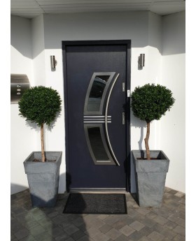 Dark anthracite external steel door with window
